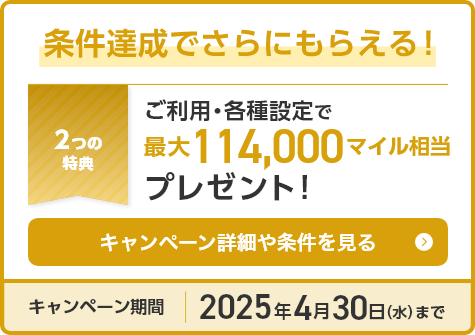 条件達成でさらにもらえる！2つの特典 ご利用・各種設定で最大111,000マイル相当プレゼント！キャンペーン詳細や条件を見る キャンペーン期間2025年1月15日（水）まで